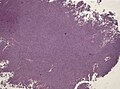 Thumbnail for version as of 07:43, 24 September 2015
